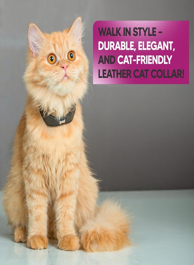 ADIL'S Adil’S Leather Cat Collar - Stylish Single Bone Studded Design, Breakaway Soft pet Collar, Adjustable Metal Buckle with Strong D-Ring for Leash attachments for Outdoor Adventures (Brown) - Image 4